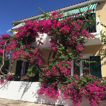 Casa Buganvilla Minia Екстер'єр фото