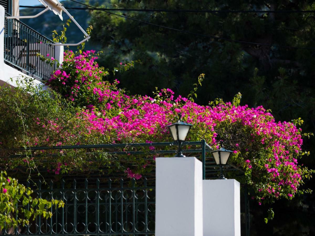 Casa Buganvilla Minia Екстер'єр фото